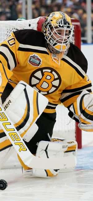 ボストン・ブルーインズの背景 — Oppo 壁紙