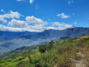自然の背景、自然、天然資源、ネイチャー4K、自然、水平線PNG