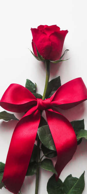 1080x2400 — Samsung galaxy s22 壁紙