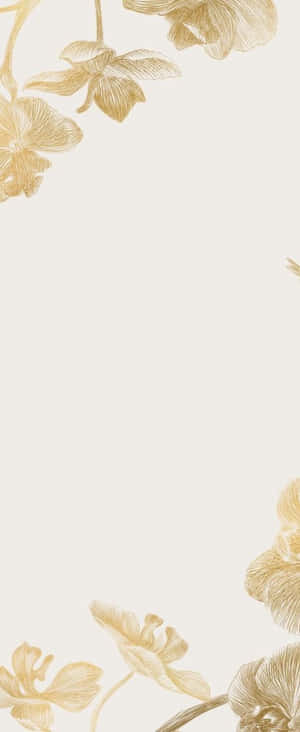1080x2636 — Motorola Razr 壁紙