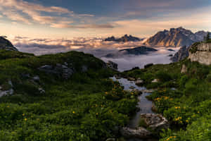 美しい自然の背景
