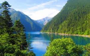 美しい自然の背景