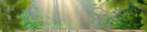 4K自然背景 — 4K自然GIF 壁紙