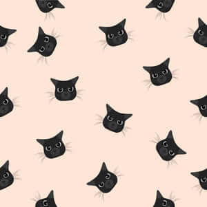 黒猫の画像 — iPad Air 11 壁紙