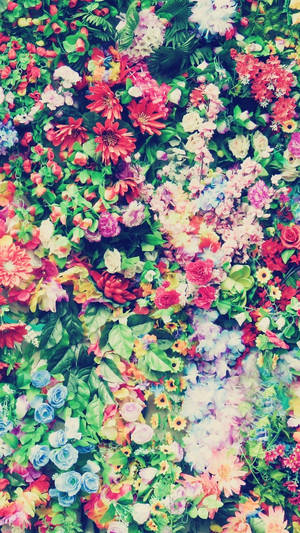 色とりどりの花々 フローラル iPhone