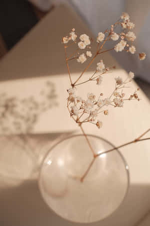 アースカラーの美しい画像 — 花の美学 壁紙