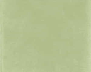 落ち着いたセージグリーンの美的背景 — セージグリーン エスセティック GIF 壁紙