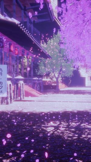 薄紫の美しい桜 — 薄紫のエスセティック 壁紙
