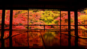 日本の写真 — 日本 壁紙