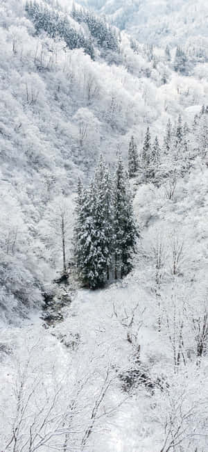 雪のiPhone — iPhone 18 Pro 壁紙