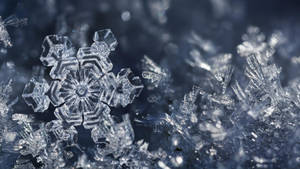雪の美しさを感じるつららの壁紙 — 雪の美学 壁紙