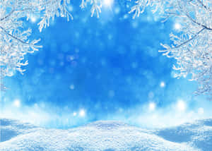 冬の雪の背景 — 雪の美学 壁紙