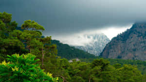 美しい背景