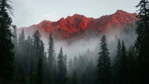 霧に包まれた森越しに見える、神秘的な赤い山並みの眺め