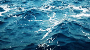 海の背景 — 海 壁紙