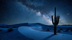 暗い青色の砂漠の風景。砂丘とサボテンが星空の下に広がる。 — ダークブルー アート GIF 壁紙