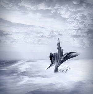 人魚の尾 灰色の白い雲 壁紙アート