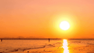 ビーチの夕日の画像