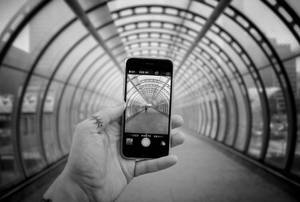 静かな花の背景に映えるシルバーのiPhone
