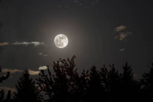 静寂の夜の美しい月 — 月夜の空 壁紙