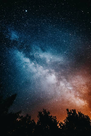 高解像度の星と木々 — Xiaomi Pad 7 Ultra 壁紙