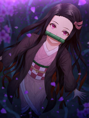 鬼滅の刃 禰豆子 かわいい衣装 — アニメ 壁紙