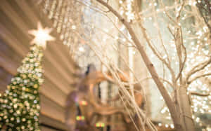 クリスマスライトの背景 — クリスマスライト 壁紙