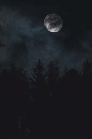 魅惑の真夜中の空 — 夜空 壁紙