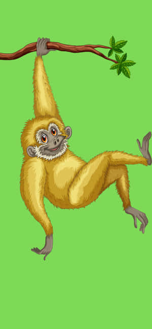 Iphone Xs Max Gibbon 背景 — iPhone 11 壁紙