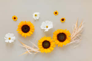 花の写真 — フローラル 壁紙