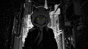 黒アニメの狼帽子の壁紙 — 黒いアニメ 壁紙