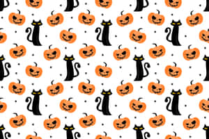 黒猫の画像 — 黒猫 壁紙
